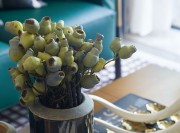 來(lái)閣設(shè)計(jì)整理出品-設(shè)計(jì)聯(lián)系：13607018416 (3)