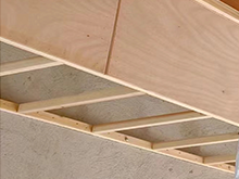 木龍骨的特點有哪些，選購方法了解一下！