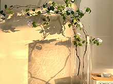 房屋裝修時(shí)有哪些要注意禁忌你都知道嗎？