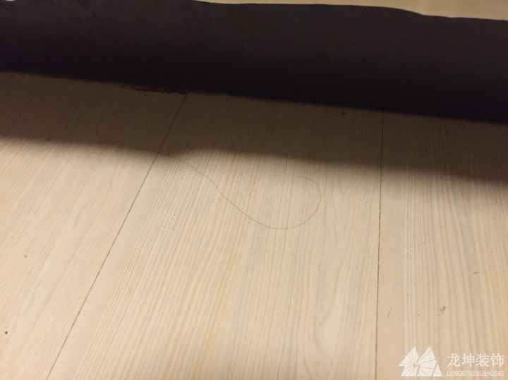 如何輕松清理地面毛發(fā)？